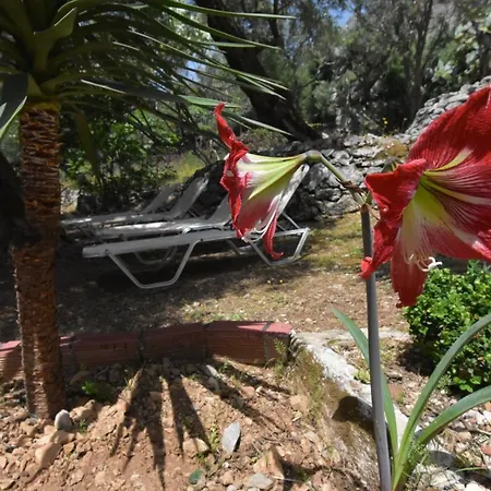 Baracunda דירה בארבאטי